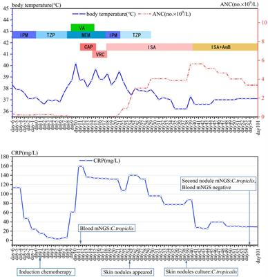 Case report: Successful combination therapy with isavuconazole and amphotericin B in treatment of disseminated Candida tropicalis infection